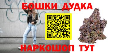 тгк Обь