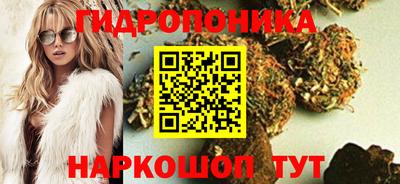 тгк Обь