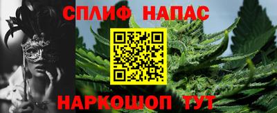 тгк Обь