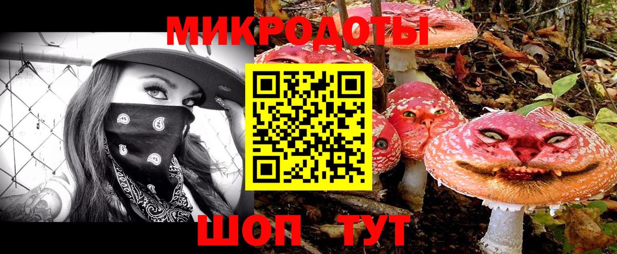 цены наркотик  Вход с VPN  Северобайкальск  Галлюциногенные грибы Psilocybine cubensis 