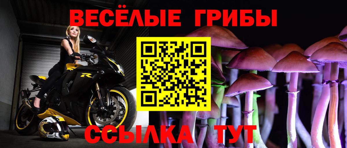 Галлюциногенные грибы мухоморы Северобайкальск